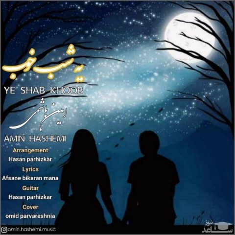 دانلود آهنگ یه شب خوب از امین هاشمی