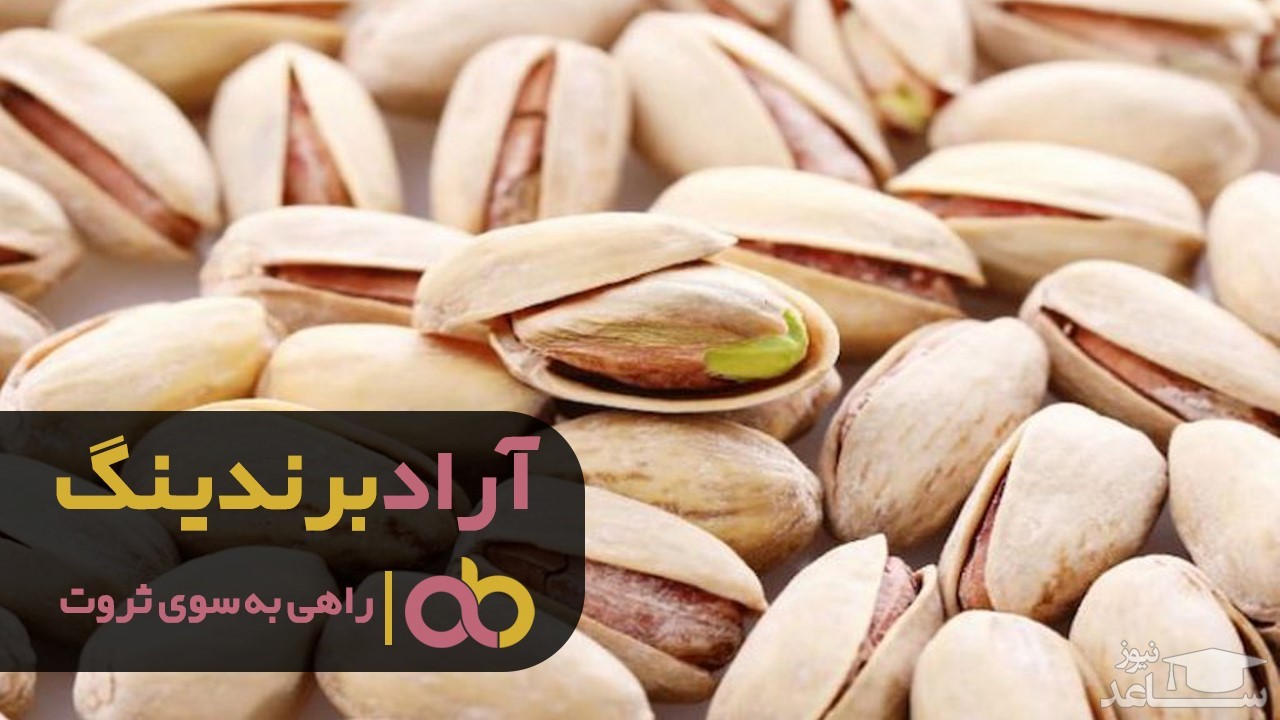 نوسان قیمت پسته کله قوچی حاج اکبری تازه در کرمان