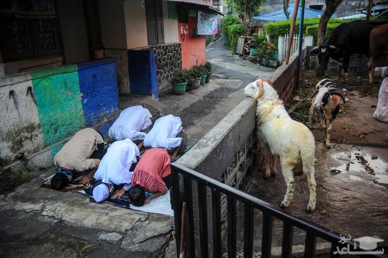 اقامه نماز عید قربان در جاوه اندونزی