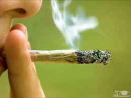 در دبیرستان؛ پسر‌ها گُل می‌زنند، دختر‌ها ترامادول