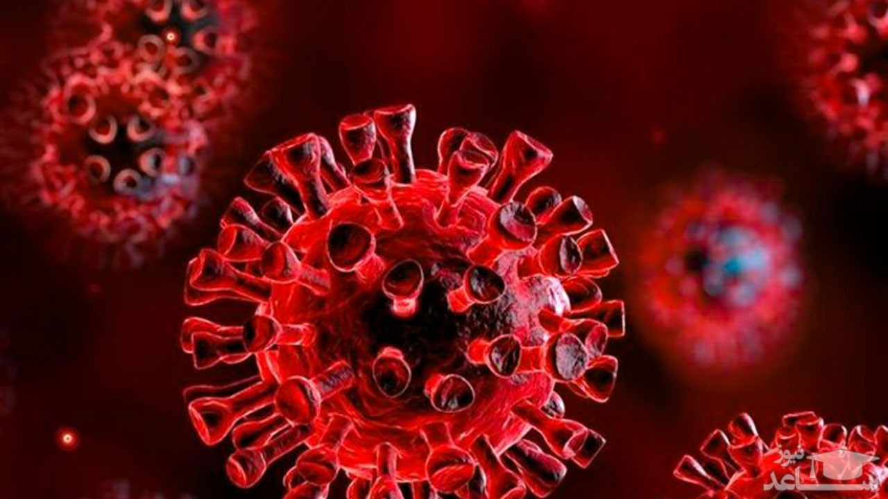 اینفوگرافی| وضعیت استانی و آمار کرونا در ایران - ۲۹ مهر ۱۳۹۹