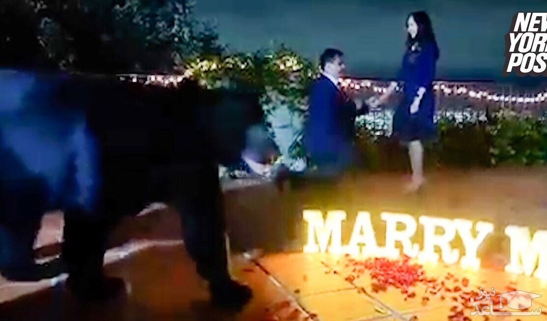 (فیلم) ورود سرزده یک خرس به مراسم خواستگاری!