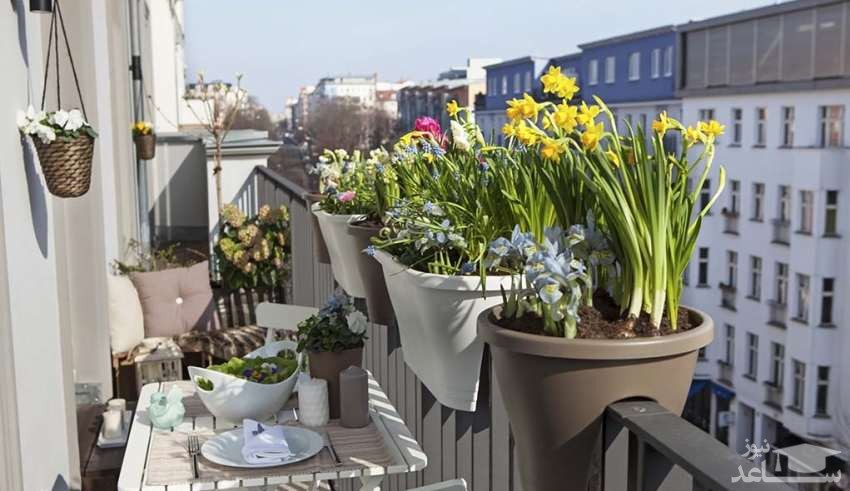 ایده های خلاقانه و جالب برای تزئین گیاهان