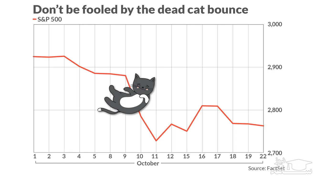 الگوی جهش گربه مرده