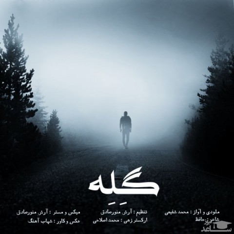 دانلود آهنگ گله از محمد شفیعی