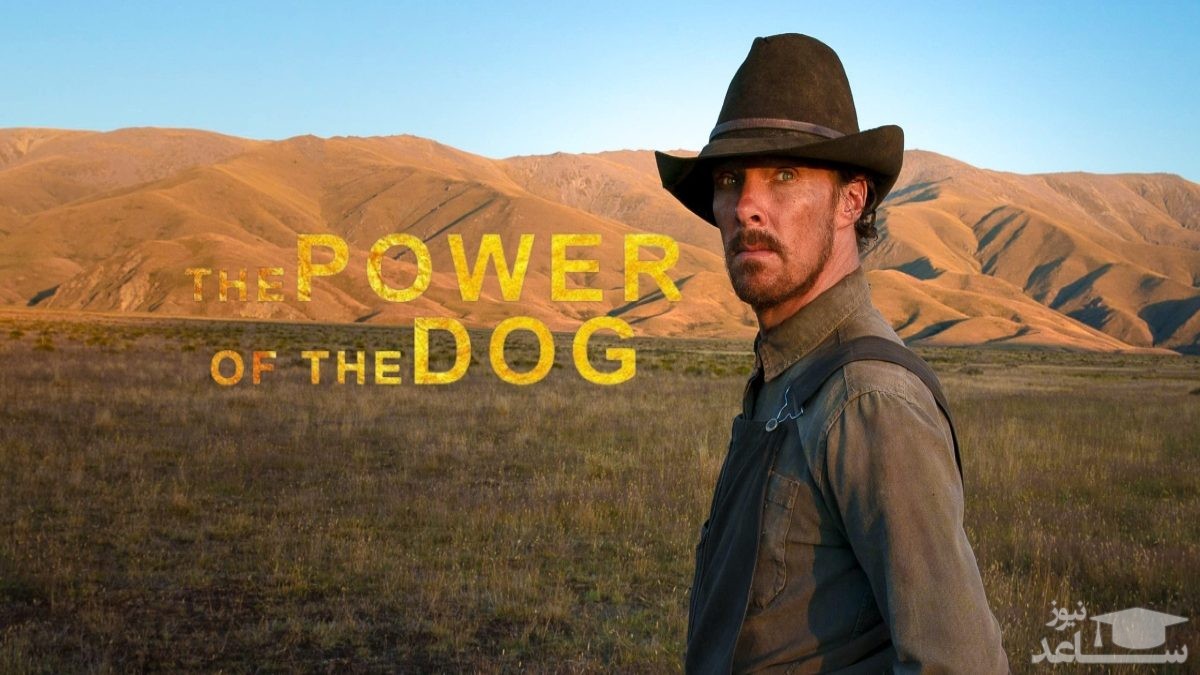 معرفی فیلم قدرت سگ - Power of the Dog