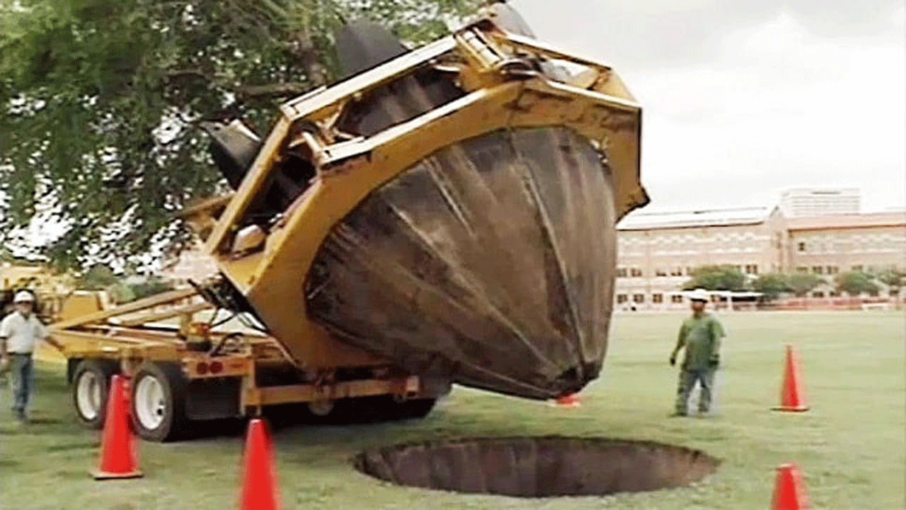 (فیلم) جابجایی متفاوت درختان با ماشین مخصوص