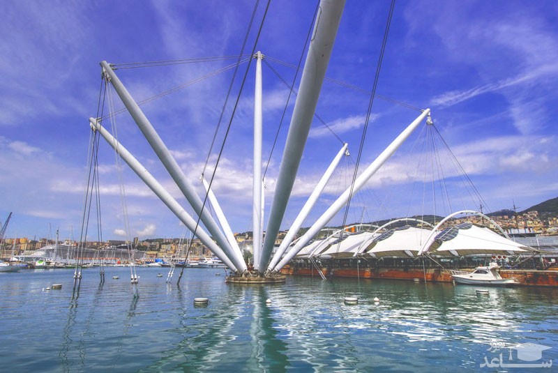 بیگو الویتور