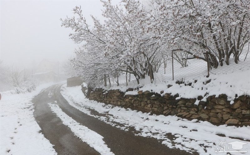 آخرین وضعیت ‌راه‌ها / بارش برف و باران در جاده‌های ۳ استان