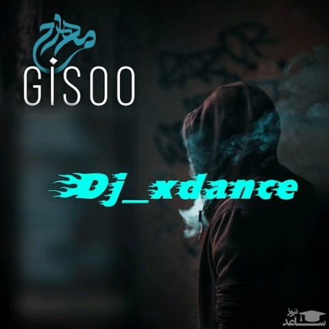 دانلود آهنگ گیسو از دی جی ایکس دنس