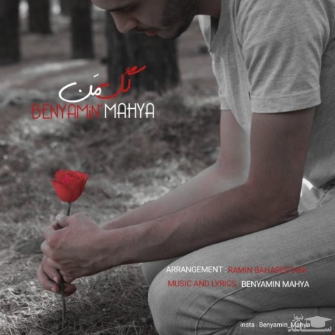 دانلود آهنگ گل من از بنیامین محیا