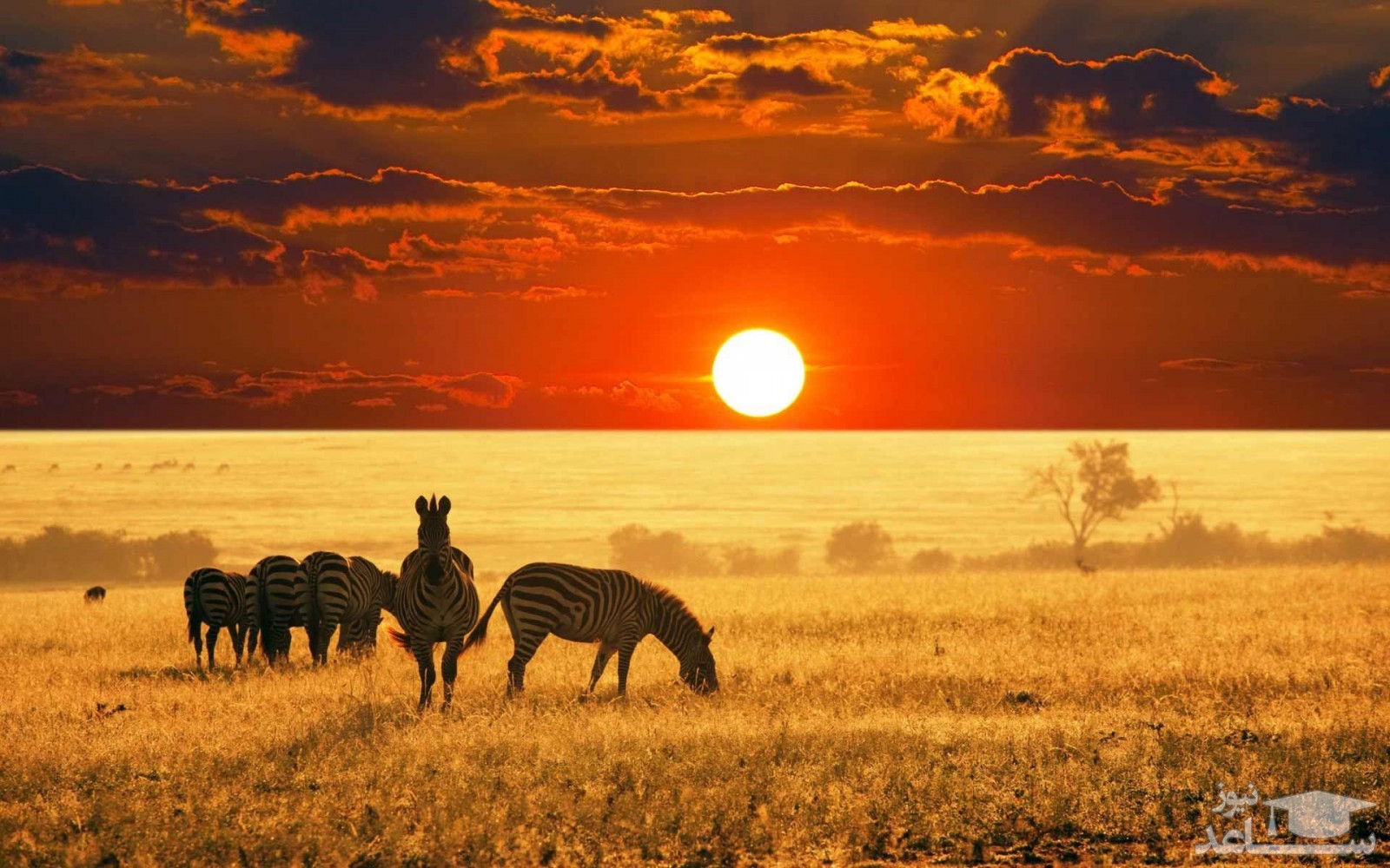 دیدنی های زیبا و حیرت انگیز تانزانیا در آفریقا