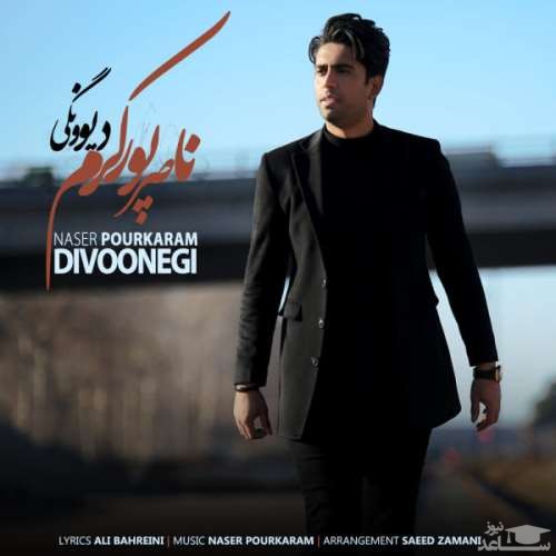 دانلود آهنگ دیوونگی از ناصر پورکرم