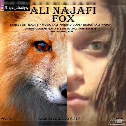 دانلود آهنگ فاکس از علی نجفی
