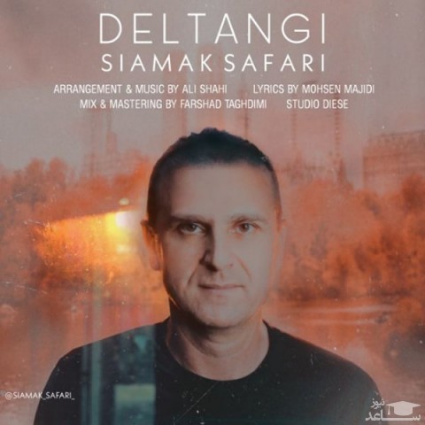دانلود آهنگ دلتنگی از سیامک صفری