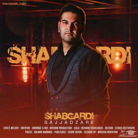 دانلود آهنگ شبگردی از سجاد زارع
