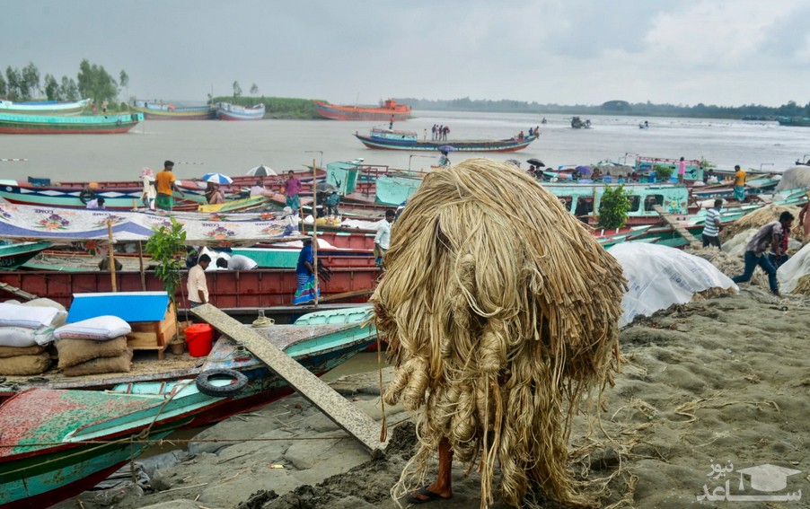 یک کارگر بنگلادشی در حال حمل کنف به داخل قایق