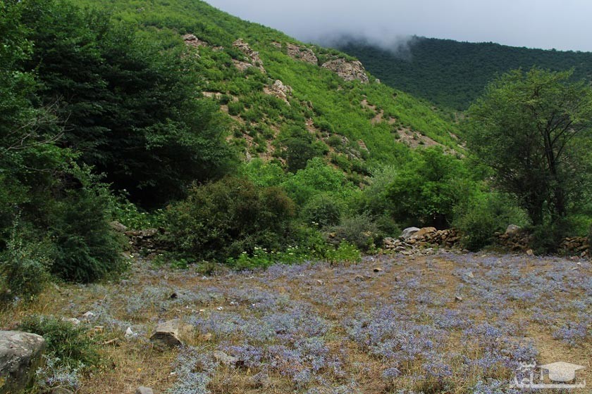 رودبارک مهدی شهر