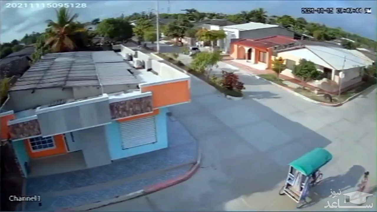 (فیلم) کمک همسایه‌ها برای دستگیری یک سارق 