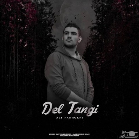 دانلود آهنگ دلتنگی از علی فرخی