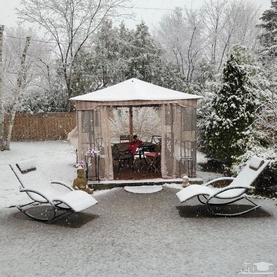 مریم امیرجلالی