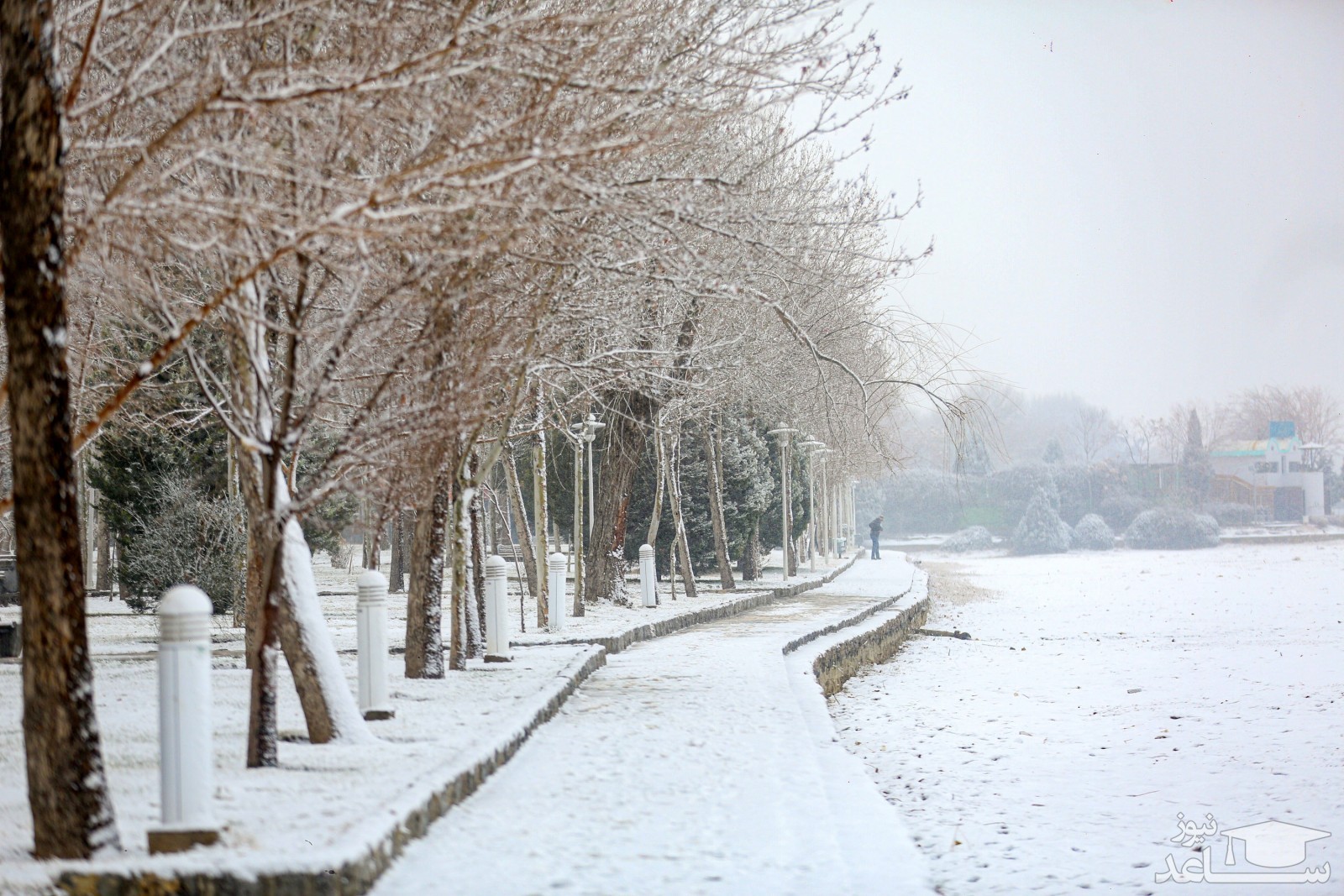 ۱۲ منظره زمستانی واقعی که به رویا شبیه هستند