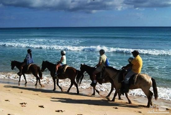 تفرجگاه رانچو دایماری