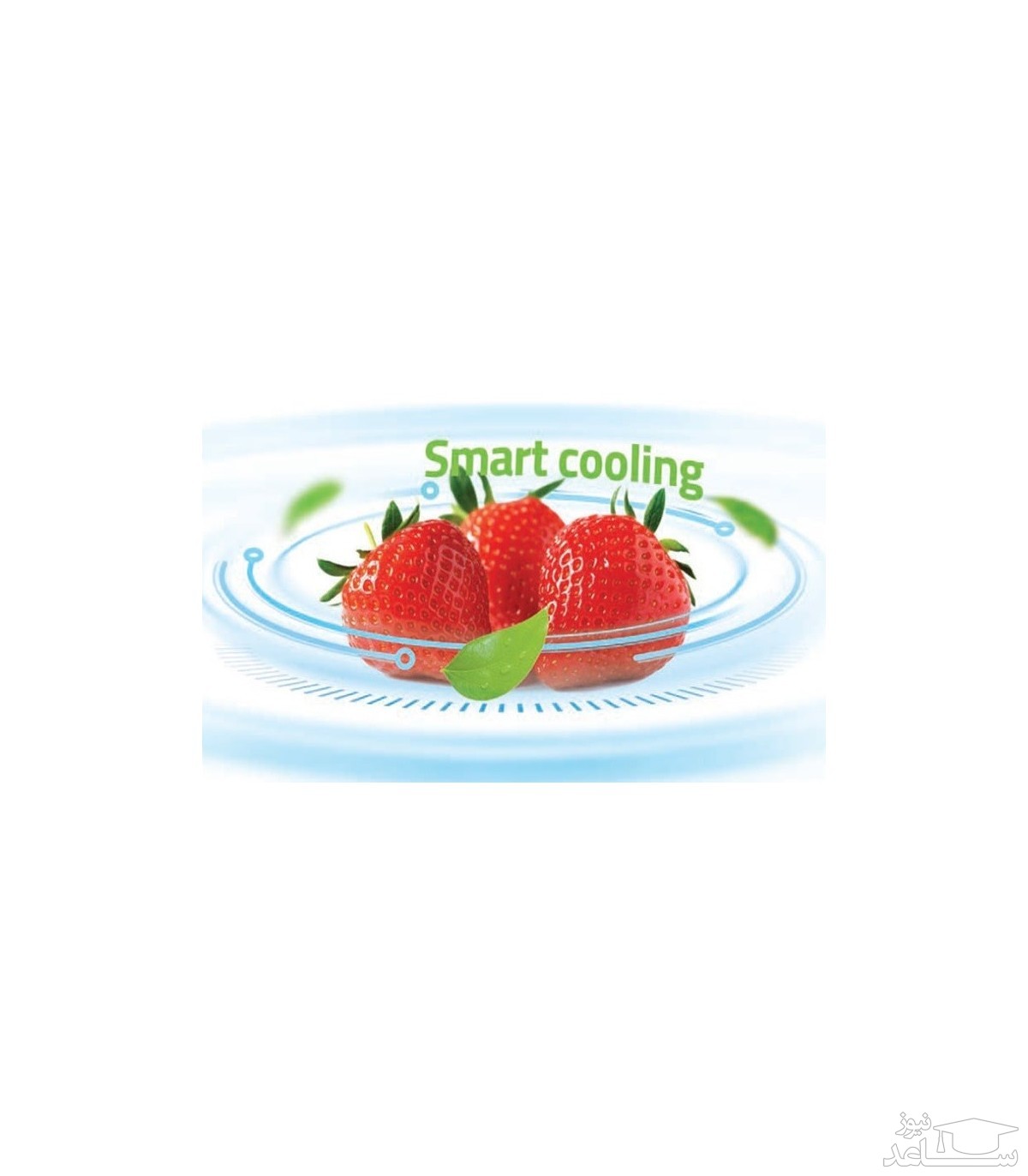 یخچال و فریزر دوو مدل D4BF-1077LW