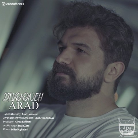 دانلود آهنگ دیوونه از آراد