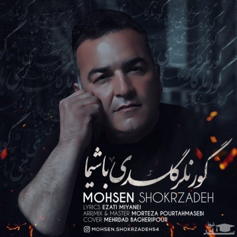 دانلود آهنگ گور نلر گلدی باشیما از محسن شکرزاده