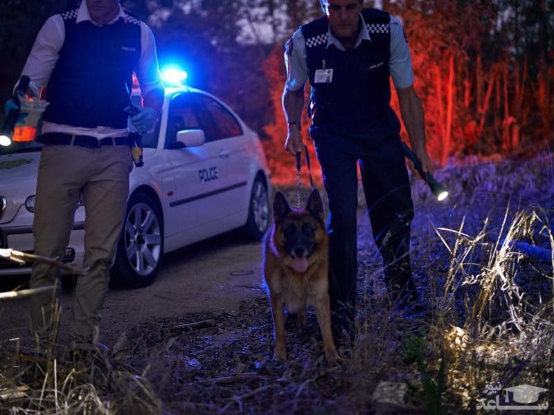 مردی که ساعت ها با پلیس به دنبال خودش می‌گشت!