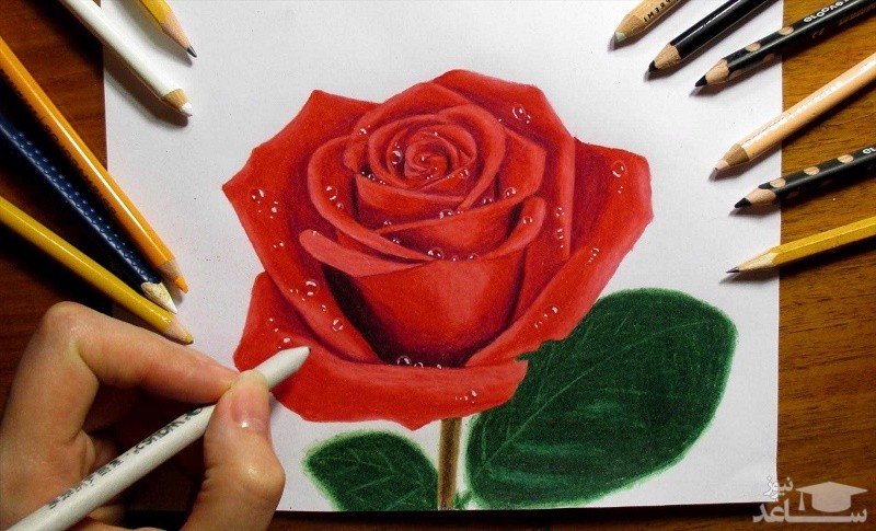 روانشناسی لباس قرمز  برای زنان