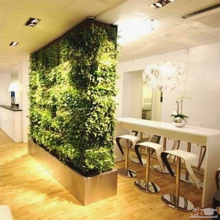 پارتیشن گیاهی