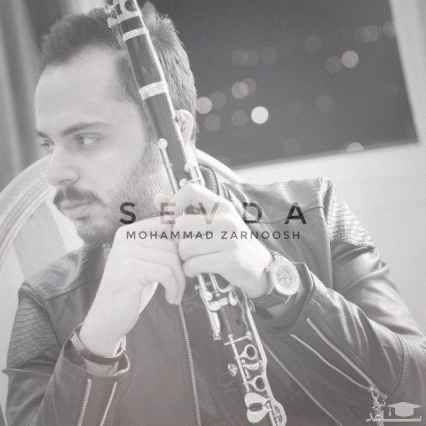 دانلود آهنگ سودا از محمد زرنوش