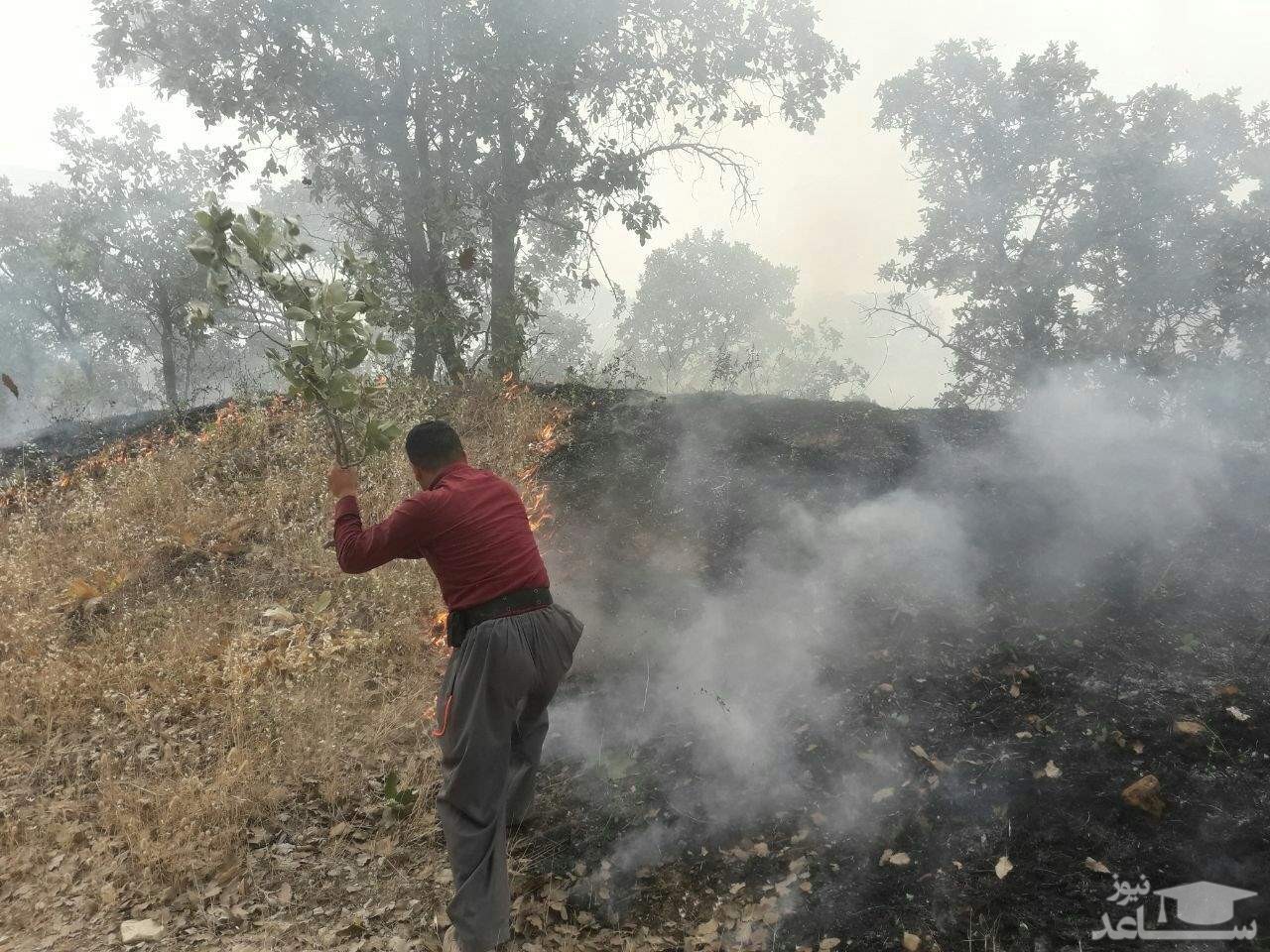 سه نفر در اثر آتش‌سوزی مراتع پاوه جان باختند