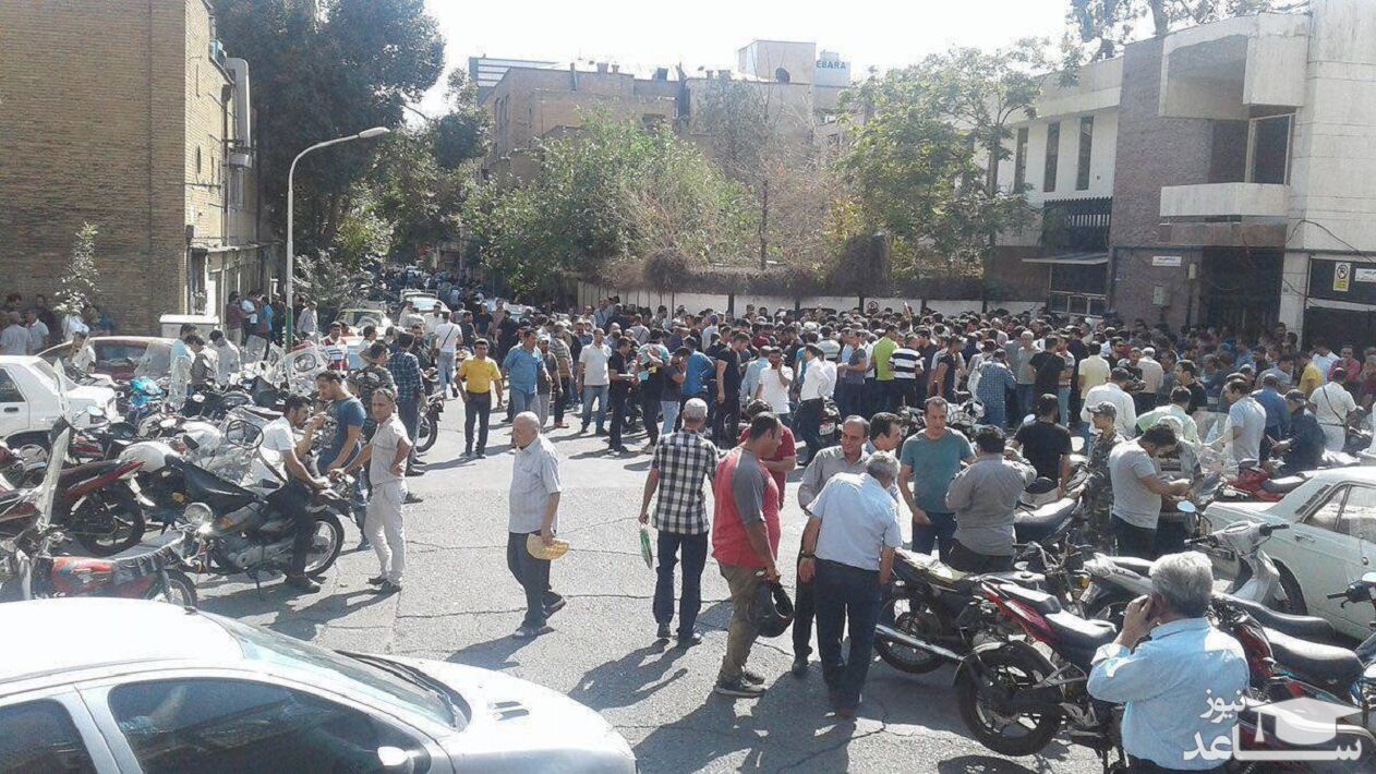 پخش دلار در خیابان‌های شیراز!