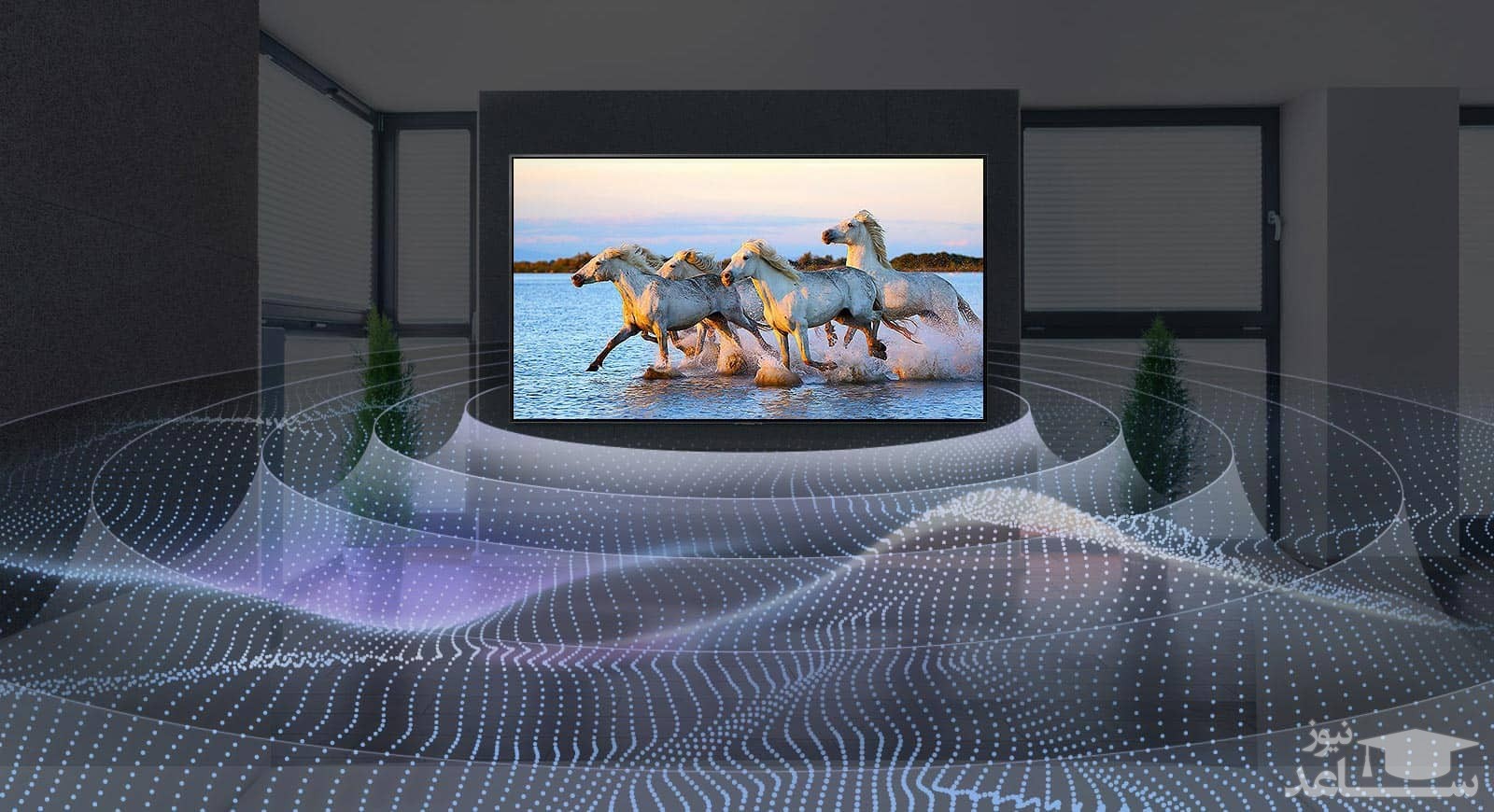 تلویزیون اولد 4K ال جی مدل C1 سایز 65 اینچ محصول 2021