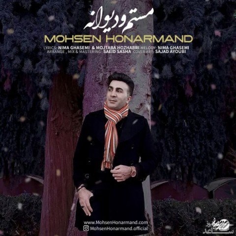 دانلود آهنگ مستم و دیوانه از محسن هنرمند