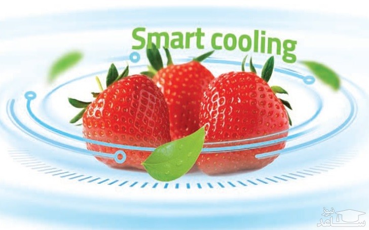 یخچال و فریزر اسنوا مدل SN4-0250SW