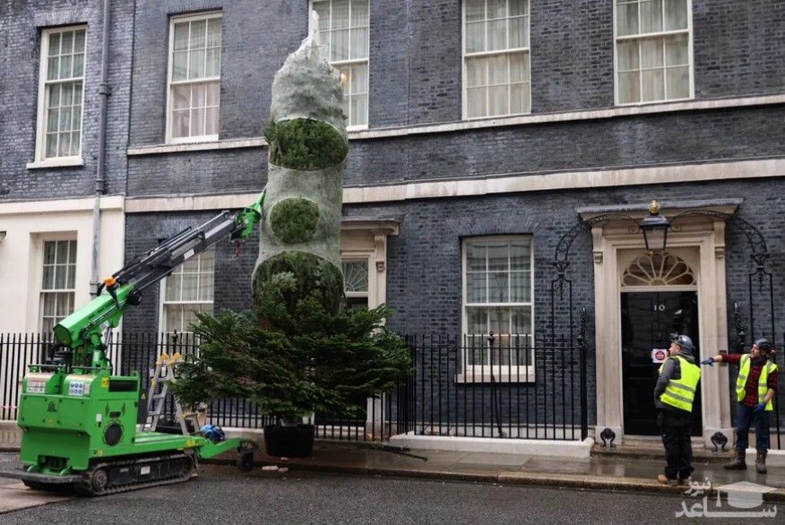 نصب درخت کریسمس در مقابل ساختمان مقر نخست وزیری انگلیس در لندن/ رویترز