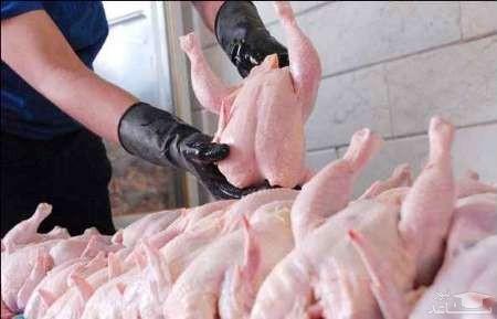 قیمت روز گوشت مرغ در بازار