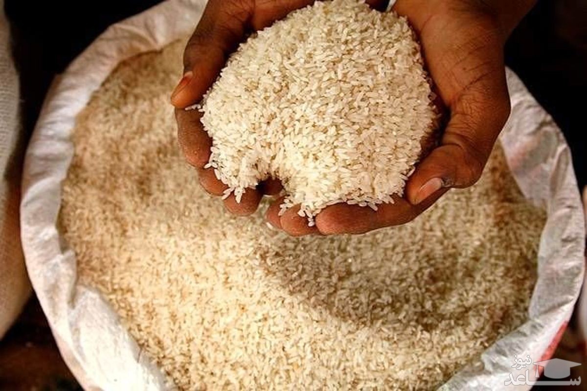 عرضه برنج با قیمت ۳۲ و ۴۲ هزار تومان آغاز می‌شود