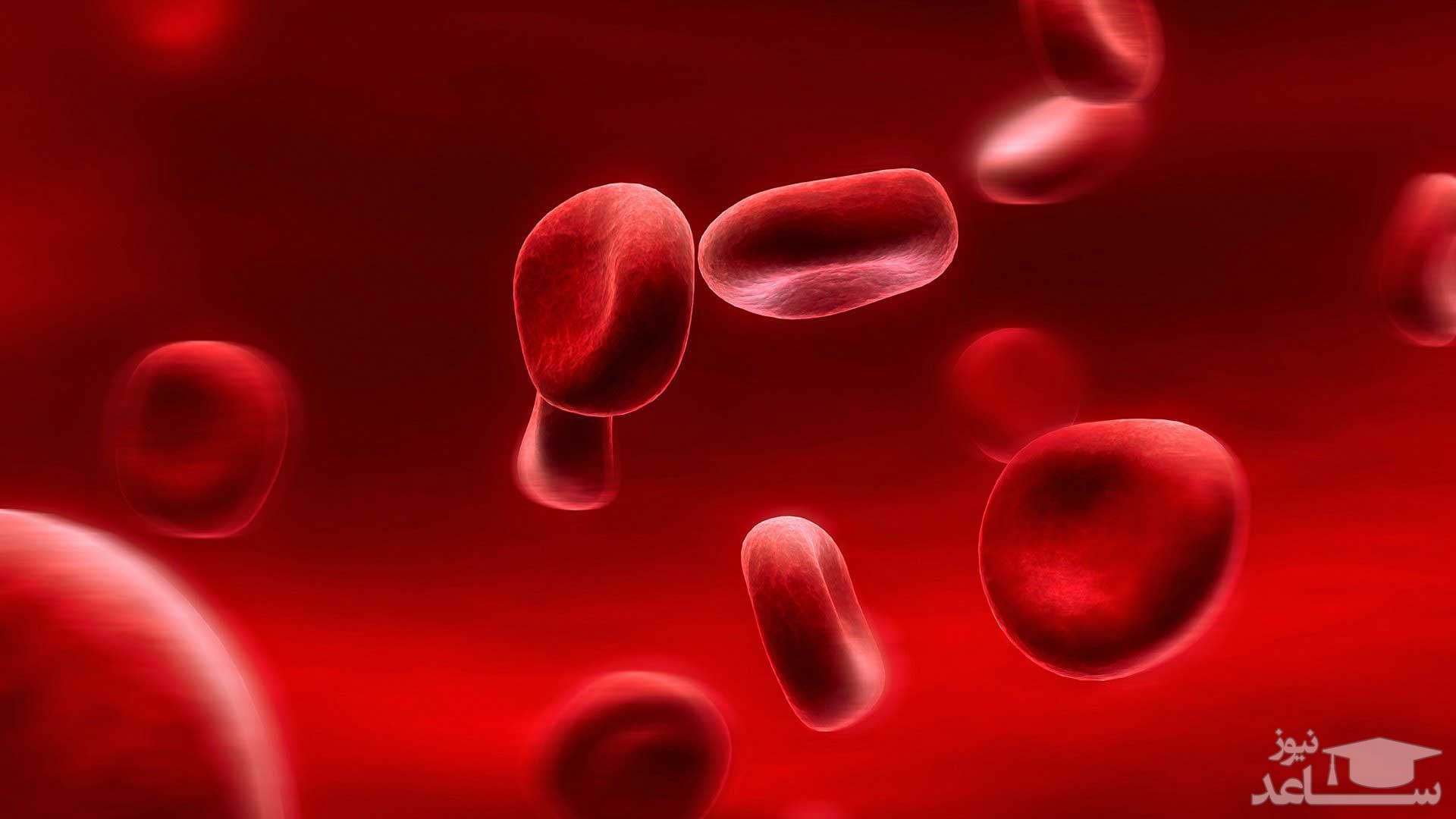 لزوم درمان کم خونی زنان قبل از حاملگی