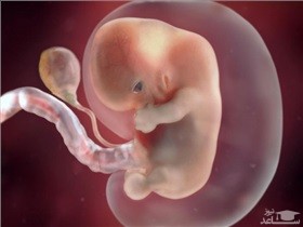 سن بالای مادر و مصرف دخانیات؛ عوامل پنهان توقف رشد جنین