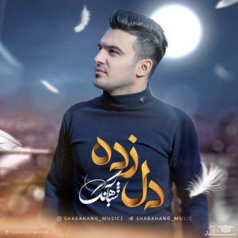 دانلود آهنگ دل زده از شباهنگ