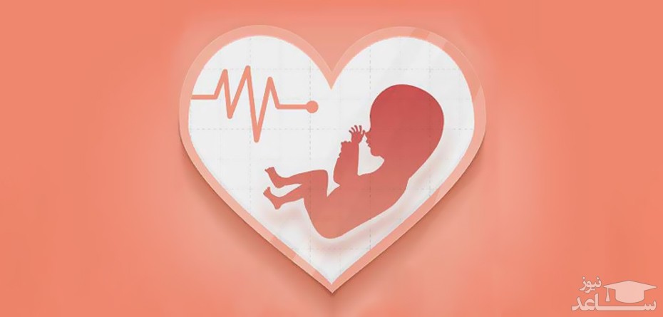 تشخیص جنسیت جنین از روی ضربان قلب