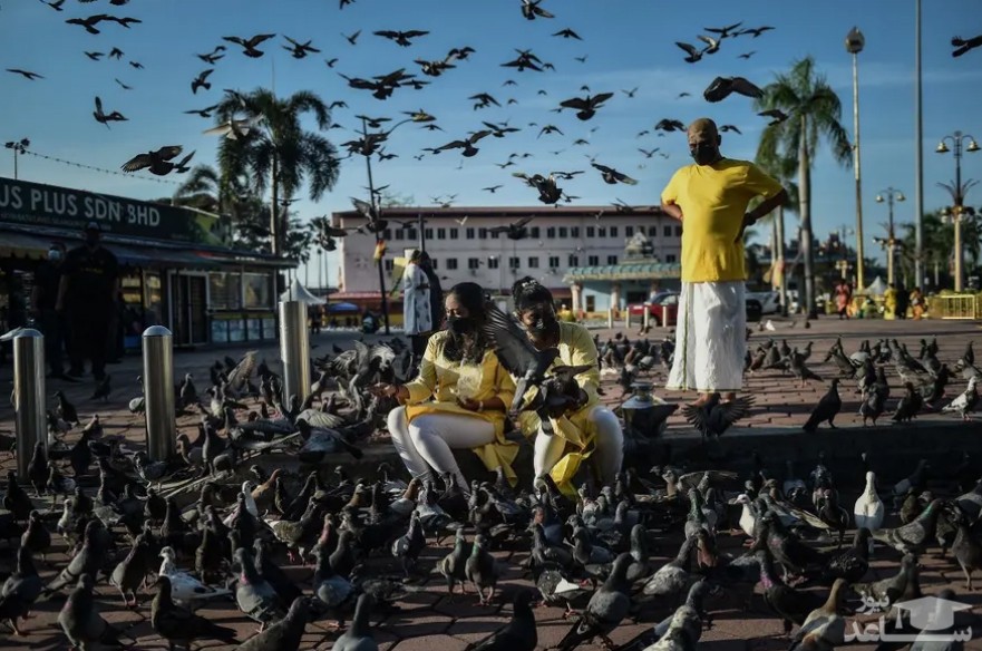غذا دادن به کبوتران در میدانی در شهر کوالالامپور مالزی/ خبرگزاری فرانسه