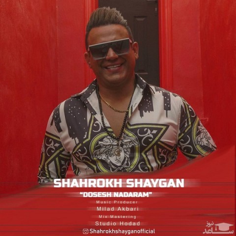 دانلود آهنگ دوسش ندارم از شاهرخ شایگان