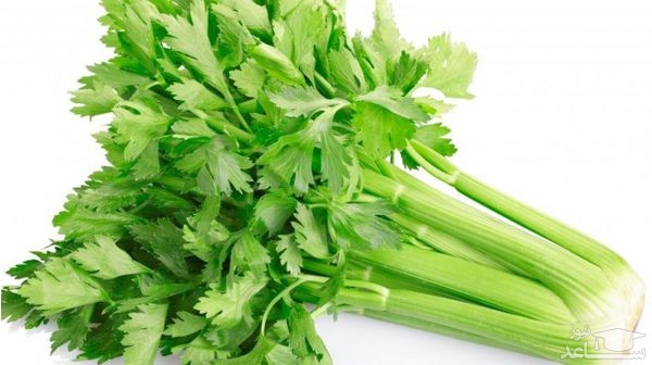 آشنایی با خاصیت درمانی کرفس