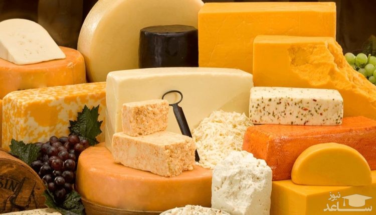 خواص پنیر برای سلامتی بدن